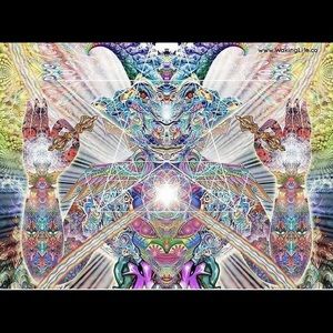 Meet your Posher, Seth